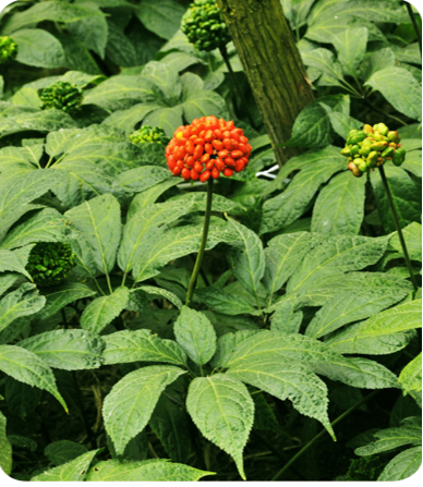 VSport-成功因您更杰出