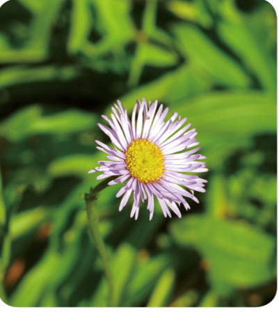 VSport-成功因您更杰出