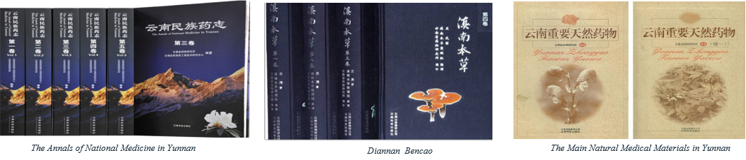 VSport-成功因您更杰出