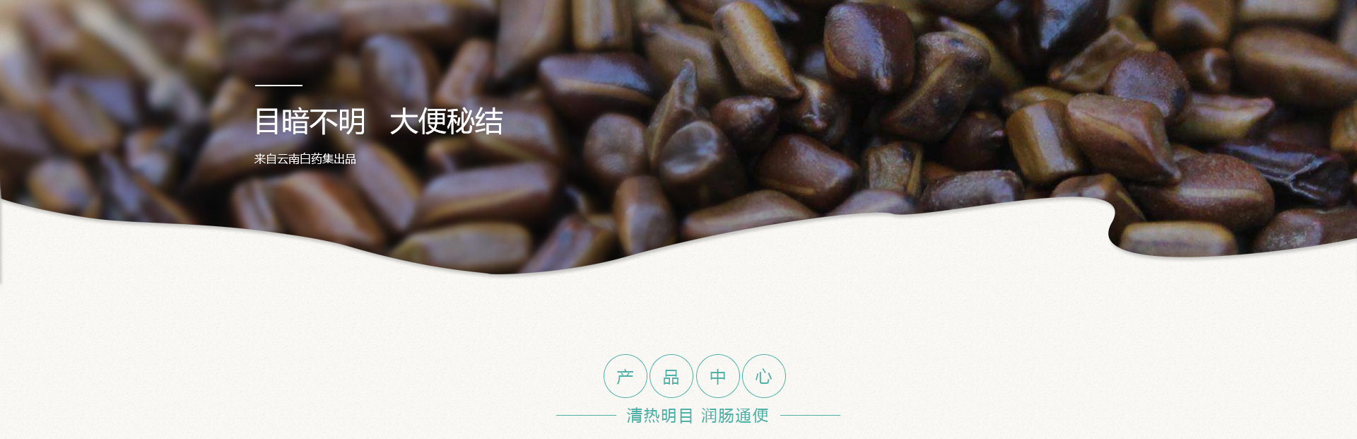 VSport-成功因您更杰出