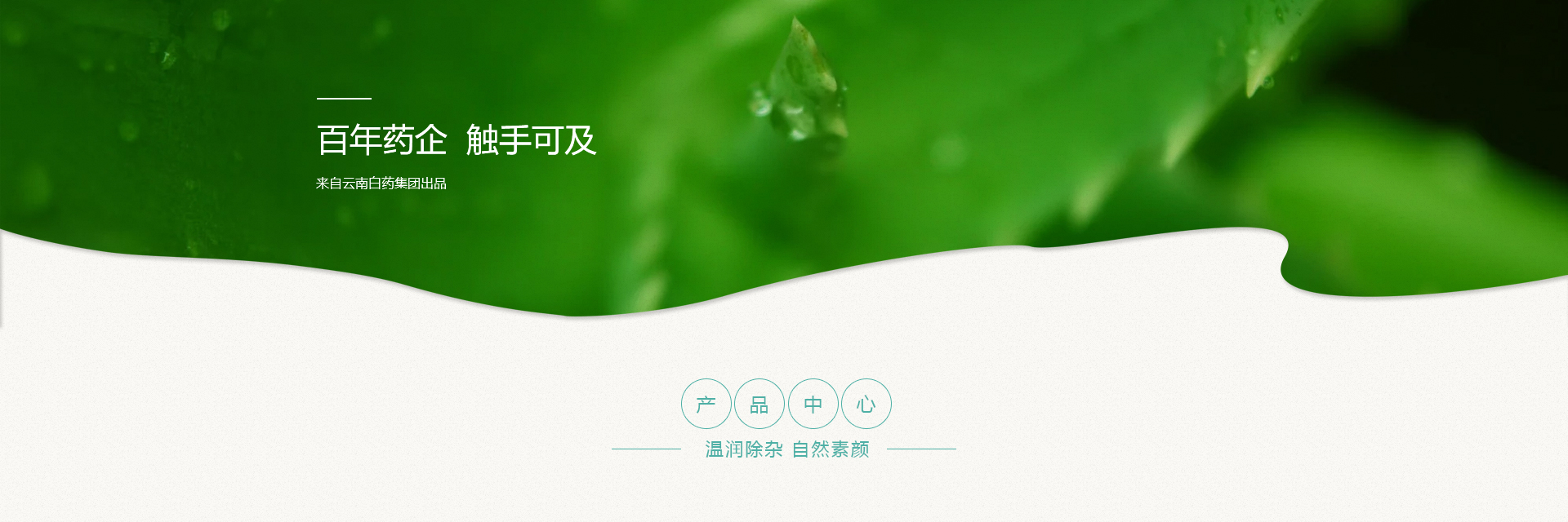 VSport-成功因您更杰出